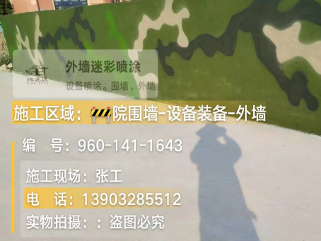 大连 迷彩漆喷涂价格(按平方米计费)
